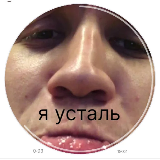 staff loshka | via sticked.app staff loshka | via sticked.app -