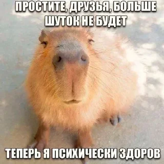 Стикер @stickermysticker - 9 Стикер @stickermysticker - 9