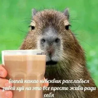 Стикер @stickermysticker - 8 Стикер @stickermysticker - 8