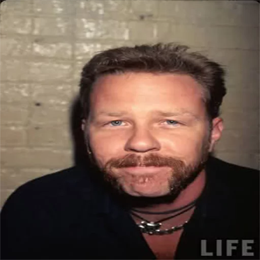 metallica metallica -