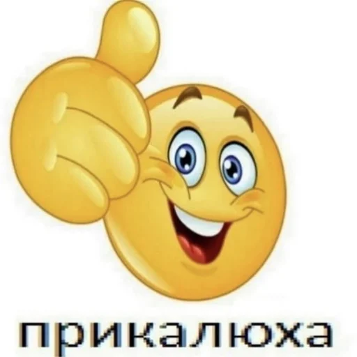 pashq's 🐽 pashq's 🐽 -