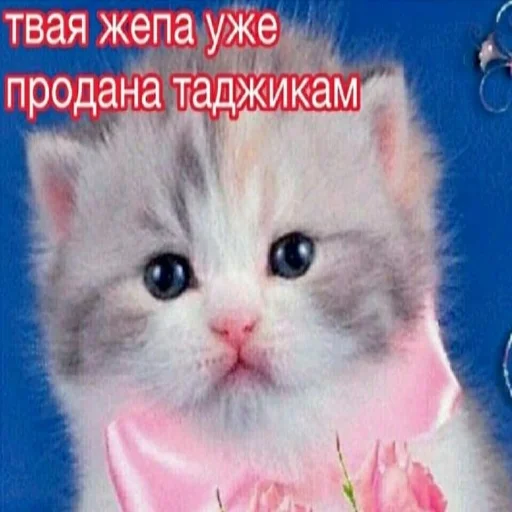 аче для твоих переписок аче для твоих переписок -