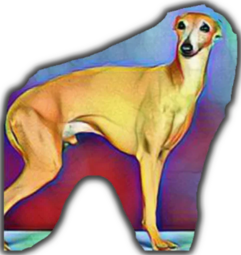 @stoopdog @stoopdog -