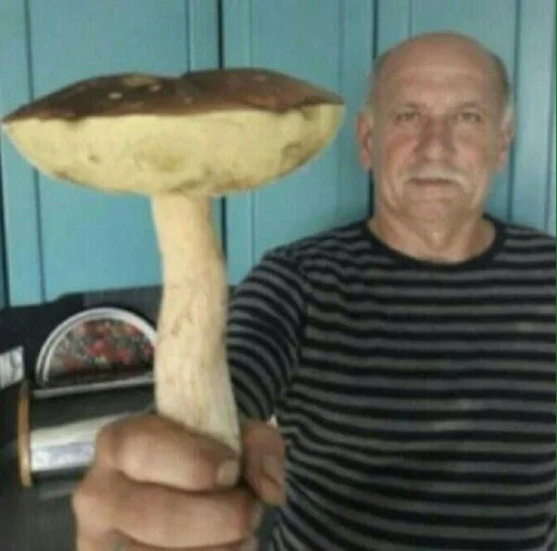 Sugar shlyapa Sugar shlyapa -