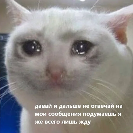 ебемся, девочки by @fStikBot ебемся, девочки by @fStikBot -