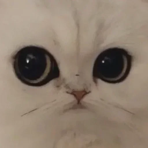копилочка 2.0 :: @fStikBot копилочка 2.0 :: @fStikBot -