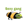 SXSYGANG SXSYGANG -