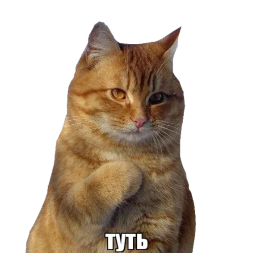 Больше стиков тут: @stikery4 Больше стиков тут: @stikery4 -
