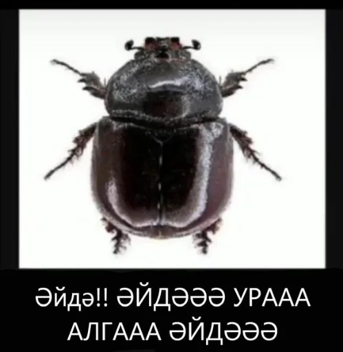 татарча стикерлар татарча стикерлар -