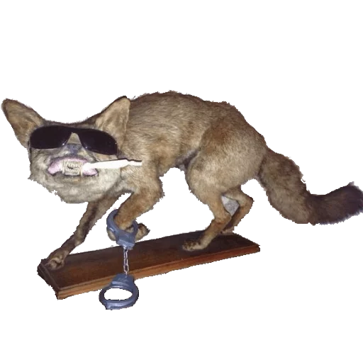 mammal mammal animal dinosaur