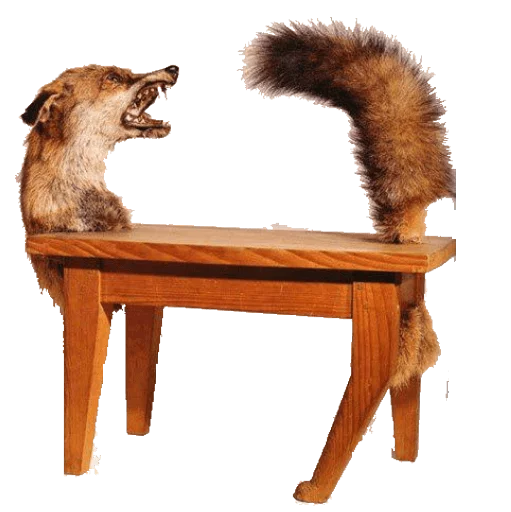 furniture furniture mammal animal