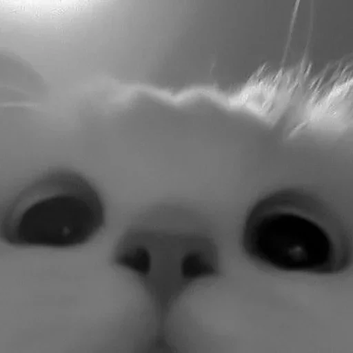 для таи. :: @fStikBot для таи. :: @fStikBot -