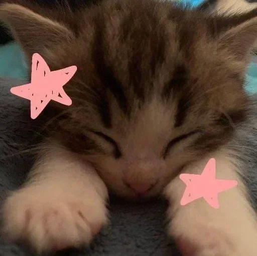 Больше стикеров → @funny_stickerss Больше стикеров → @funny_stickerss -