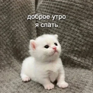 Стикер Больше стикеров → @funny_stickerss - 0