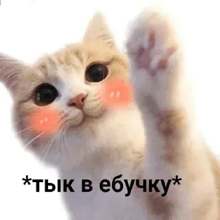 Стикер By @tg_Tim_stikers - 11