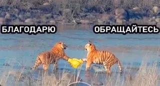 Стикер thankstiger - 0