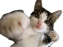 Эти ебучие коты (часть 2) Эти ебучие коты (часть 2) - кошка