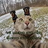 АНТОН ГОНЕ АНТОН ГОНЕ -