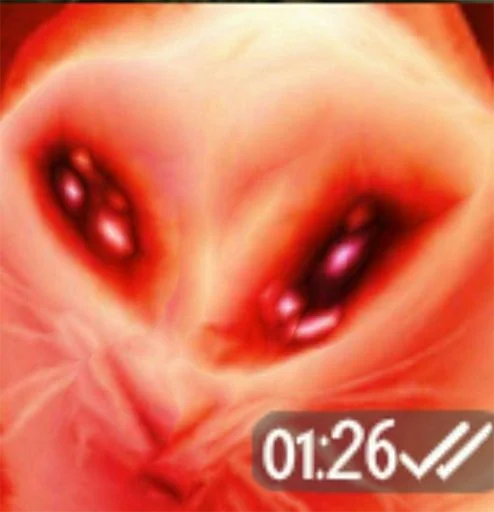 The crying cat The crying cat -