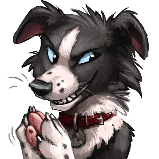wolf wolf -