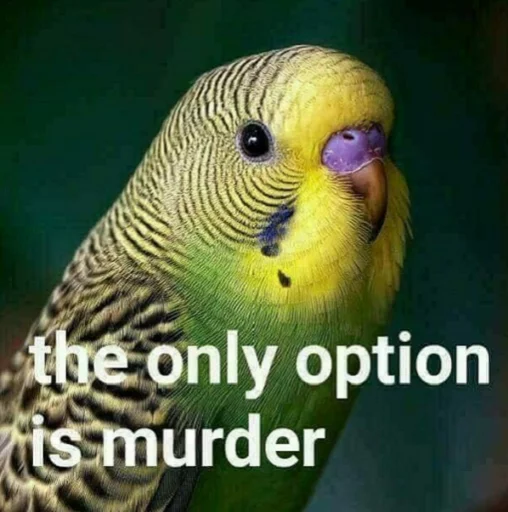 theonlyoptionismurder theonlyoptionismurder - птица