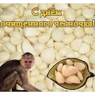 эти дни by @jqofa эти дни by @jqofa - животное