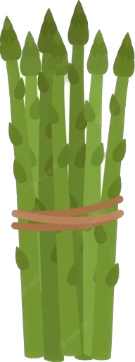 sparzha sparzha -
