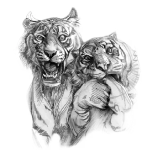 Sticker Tigers love - 0