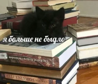 Стикер ТЫ ЛОХ - 4