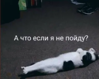 Стикер ТЫ ЛОХ - 8