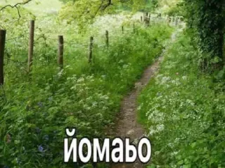 Стикер ТЫ ЛОХ - 2