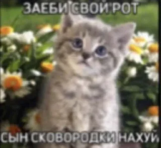 Стикер ТЫ ЛОХ - 6
