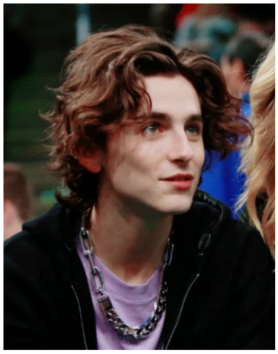 timothée chalamet timothée chalamet -