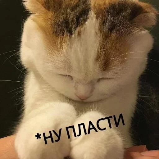 АБГДИЁЖ by @fStikBot АБГДИЁЖ by @fStikBot -