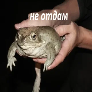 Стикер ты долбоёб - 4