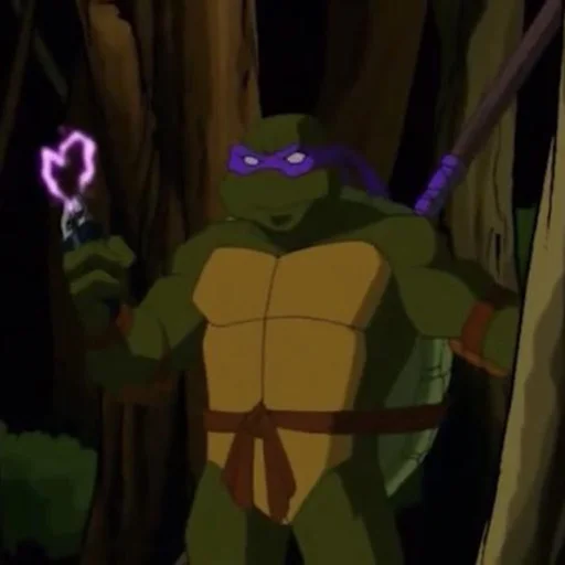 tmnt @gfdonnie tmnt @gfdonnie -
