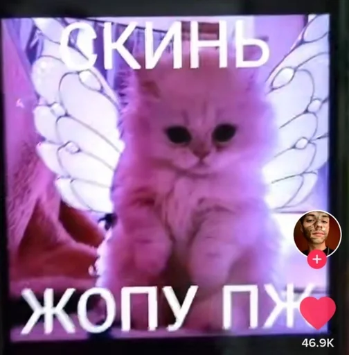 Soooooooer :: @fStikBot