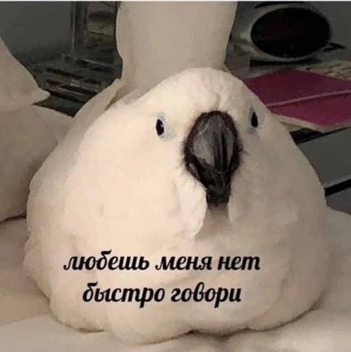 Стикер mmm - 3 Стикер mmm - 3