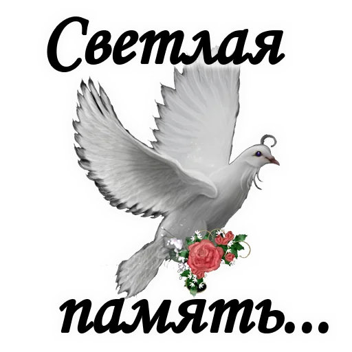 ТРАУР ТРАУР -
