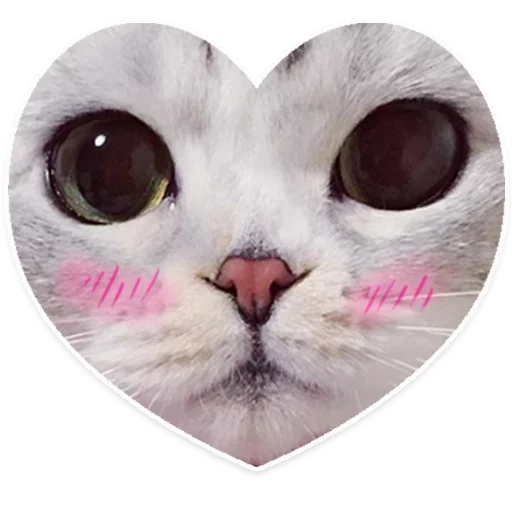 ✨💖~ TSE  LIUBOV ~💖✨ - 