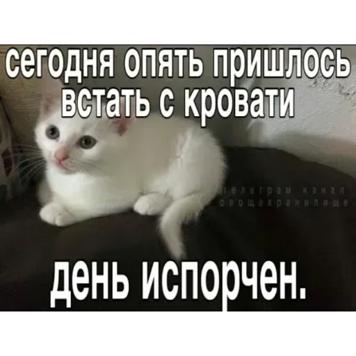 Больше стиков тут: @stikery4 Больше стиков тут: @stikery4 -