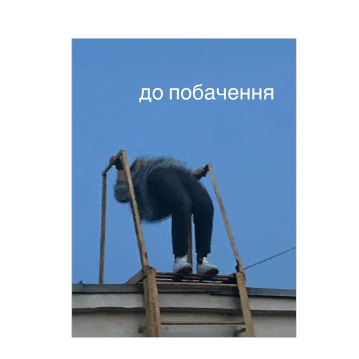 тюленьчики тюленьчики -