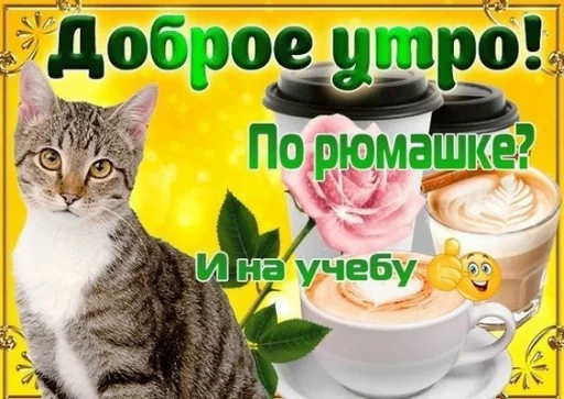 cat cat animal coffee cup