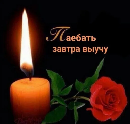 candle candle wax rose