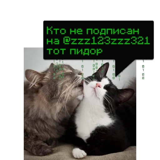 4ToTo_TyT_He_Ta @memdeleevBot 4ToTo_TyT_He_Ta @memdeleevBot -