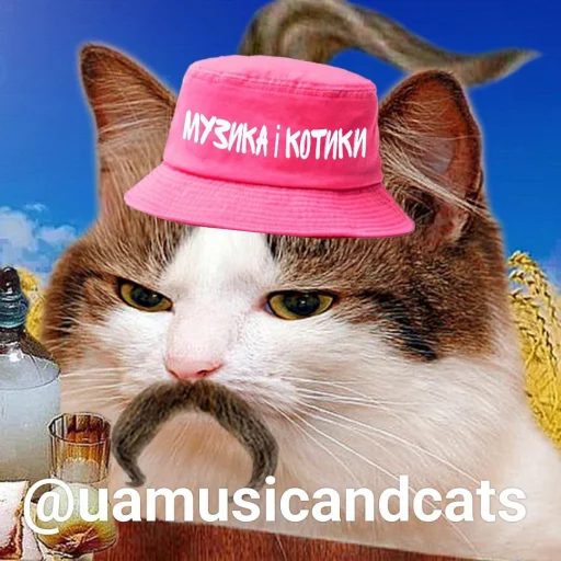 музичні котики by uamusicandcats музичні котики by uamusicandcats -