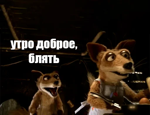 Блять @stiker_packk