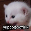 укрсофостіки укрсофостіки -