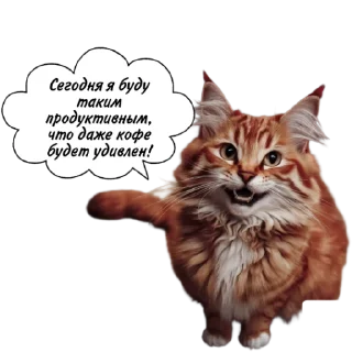 Sticker Рыжие коты 👉 @umamari - 7