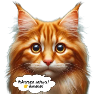 Sticker Рыжие коты 👉 @umamari - 2